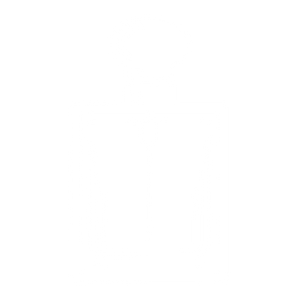 list item image